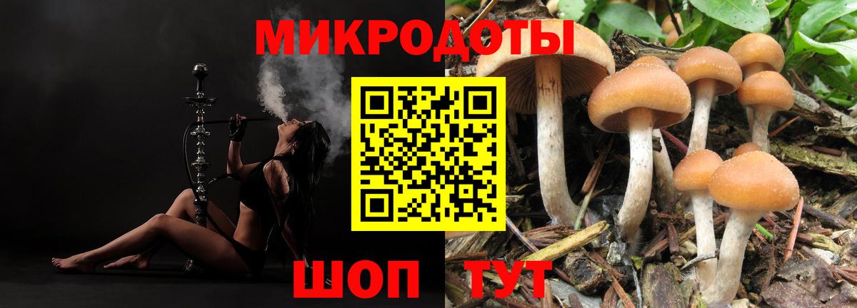 Донецк  Псилоцибиновые грибы Psilocybe  Вход с VPN 